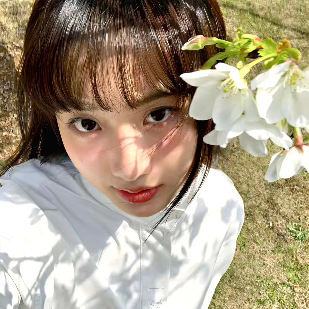 海贼王剧场版5：被诅咒的圣剑